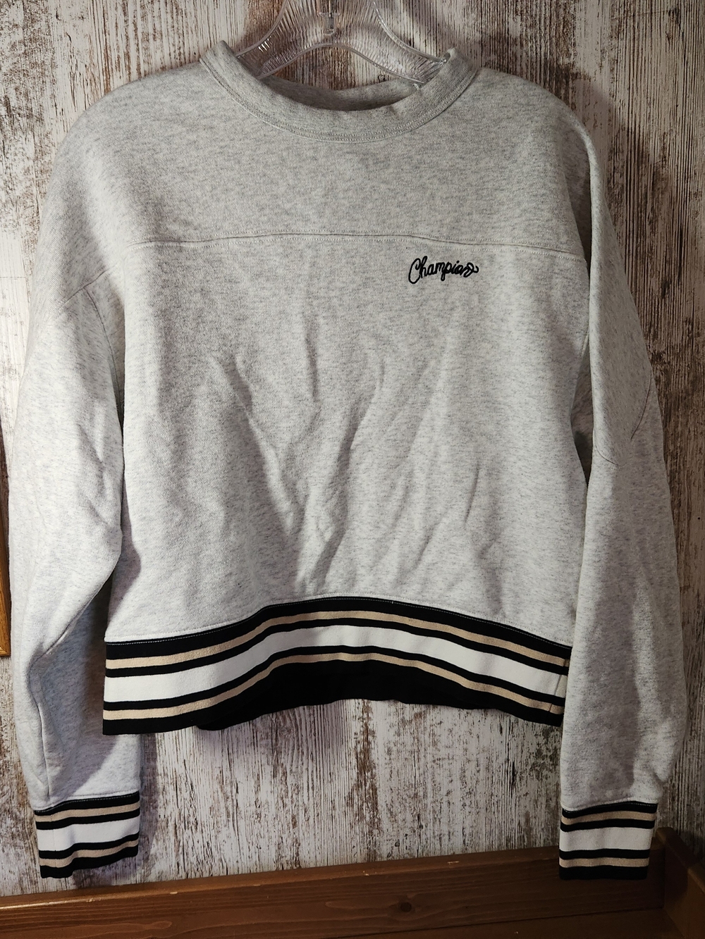 Champion Elective Cropped Crewneck Sweatshirt Heather Gray Like New Size Medium